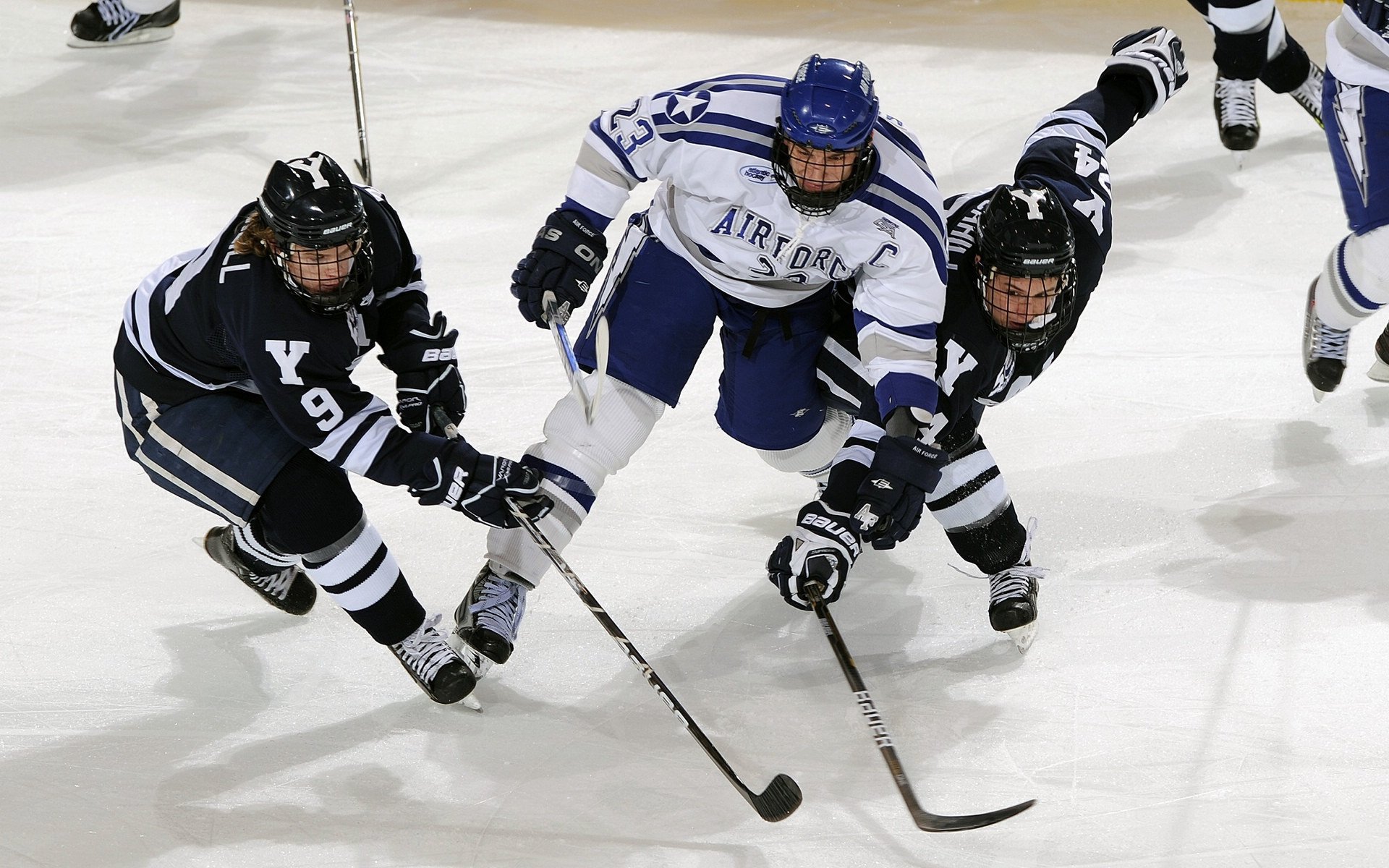 开云体育下载-“未来之星”青少年青训创新联盟在上海正式成立，助推行业高质量发展